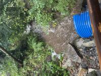 IMG_9777 (768x1024).jpg